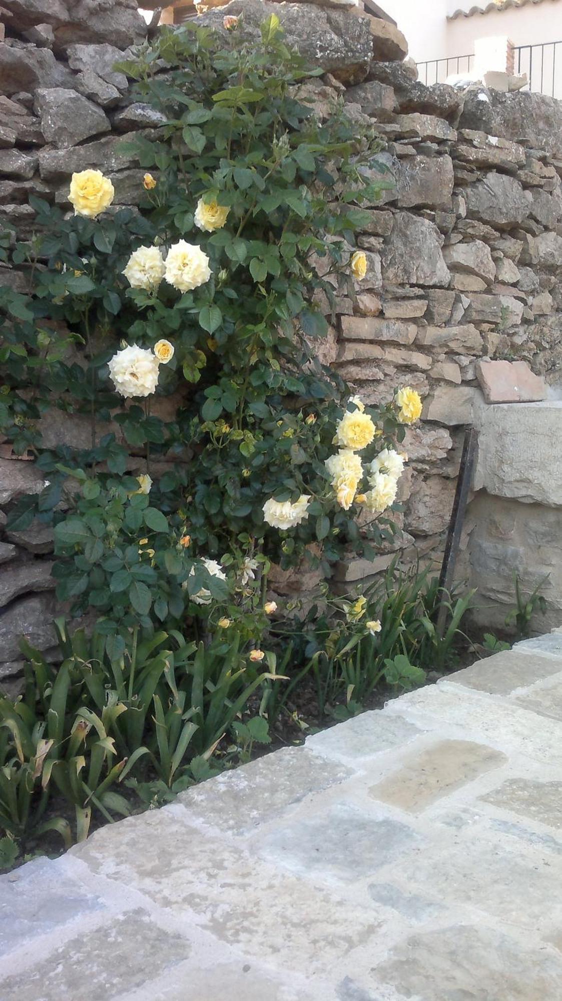 Casa Rural Caseta De L' Hort Villafranca del Cid Esterno foto