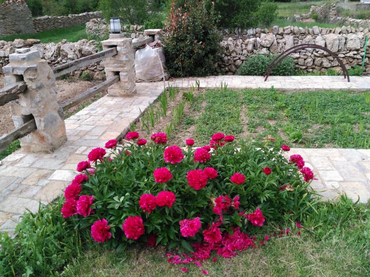 Casa Rural Caseta De L' Hort Villafranca del Cid Esterno foto